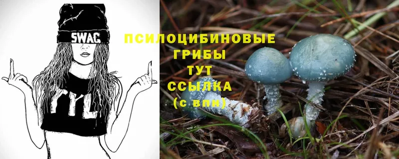 Галлюциногенные грибы Magic Shrooms  MEGA зеркало  Приморско-Ахтарск 